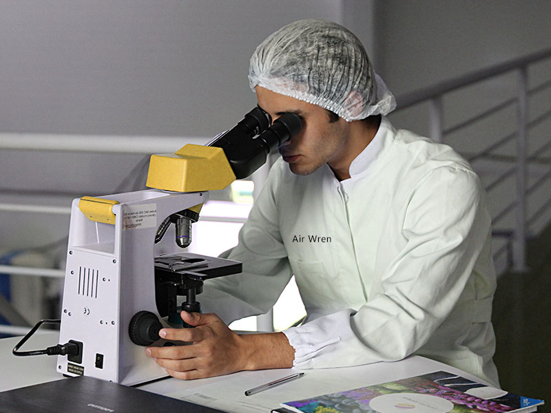 Biological engineering DNA